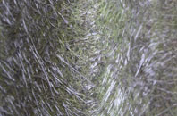 Fair Cross fibreglass roof work